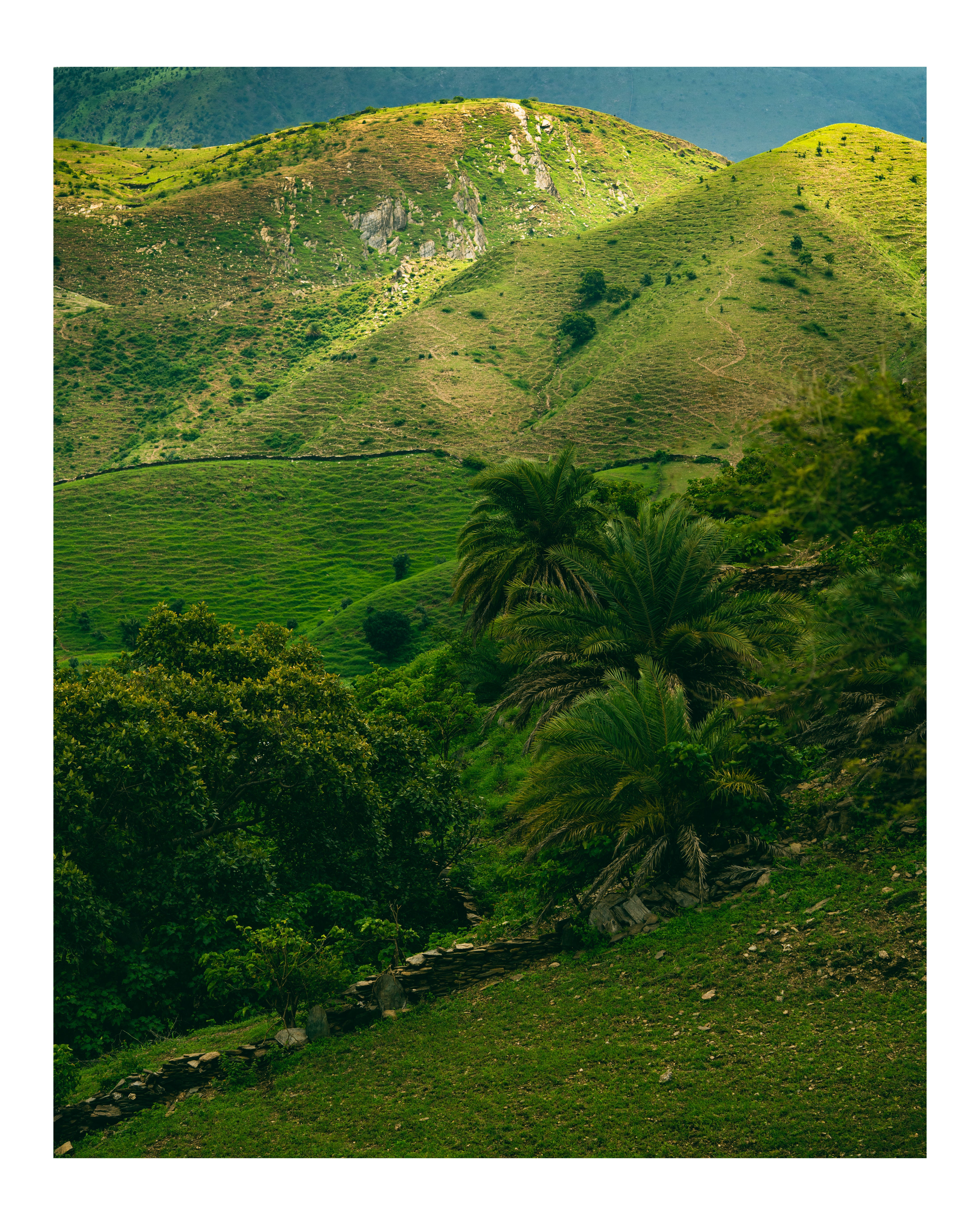 Rahul Prajapati - Sylmara - Jade Hued Peaks